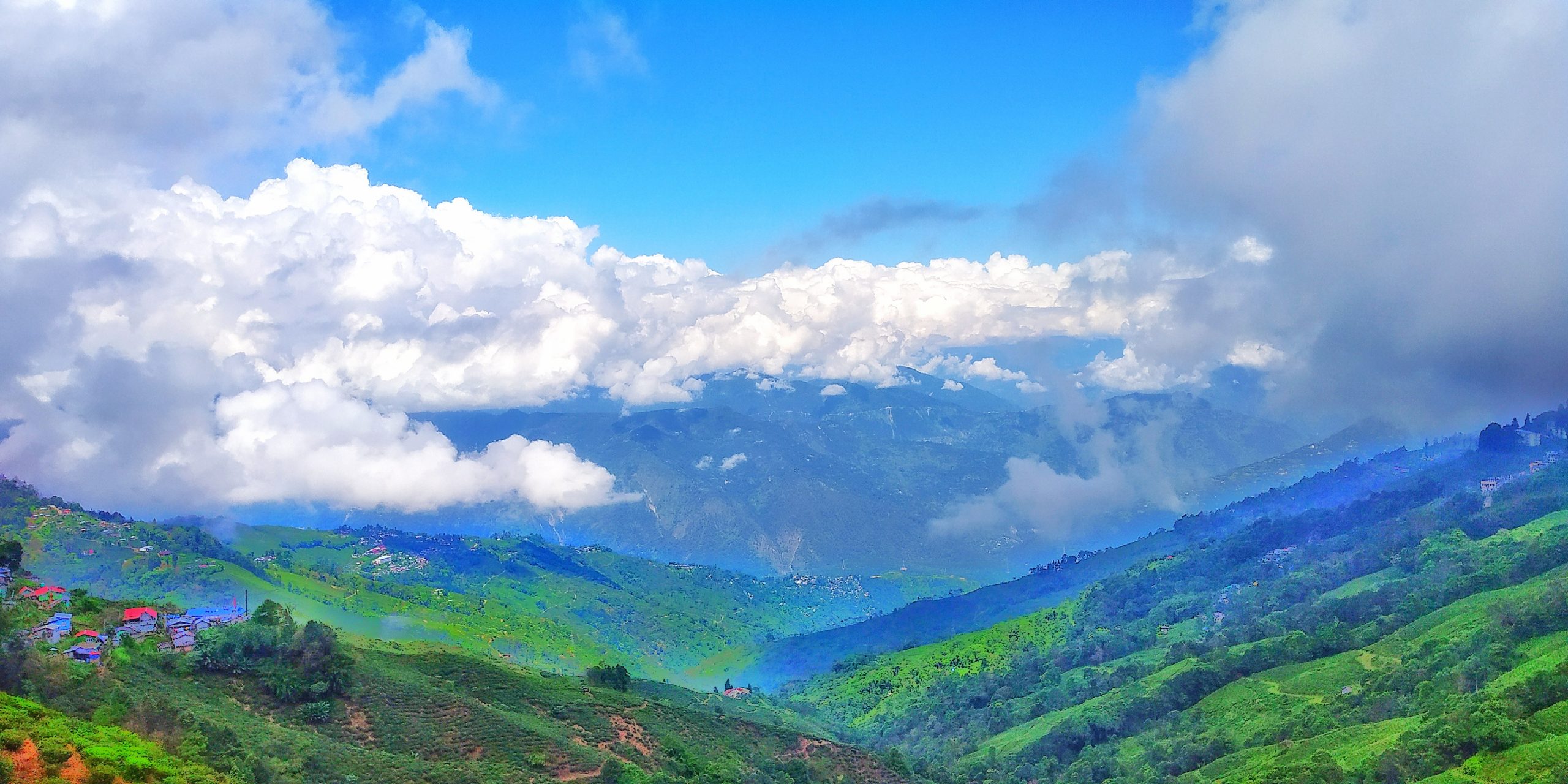 Hills of Darjeeling